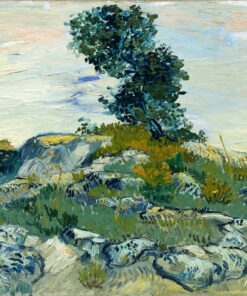 As rochas – Van Gogh Vincent Van Gogh Master Apollon