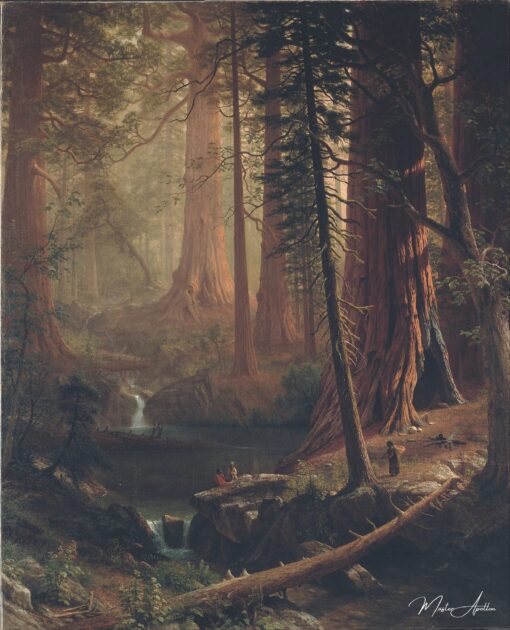 Os sequoias gigantes da Califórnia – Albert Bierstadt Albert Bierstadt Master Apollon