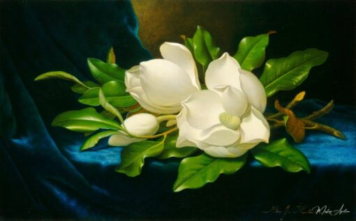 Magnólias gigantes em um tecido de veludo azul – Martin Johnson Heade Martin Johnson Heade Master Apollon