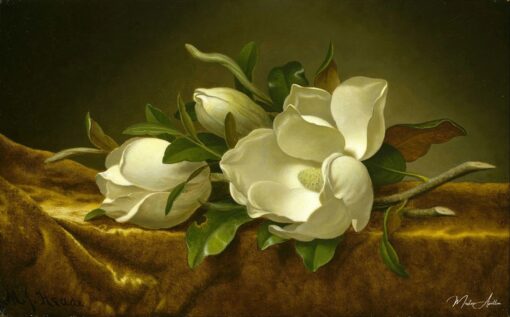 Magnólias sobre tecido de veludo dourado – Martin Johnson Heade Martin Johnson Heade Master Apollon