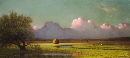 Sombra e luz: os pântanos de Newbury – Martin Johnson Heade Martin Johnson Heade Master Apollon