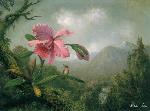 Orquídea e beija-flor perto de uma cascata de montanha – Martin Johnson Heade Martin Johnson Heade Master Apollon