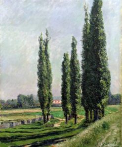 Árvores de choupo à beira do rio em Argenteuil – Caillebotte Gustave Caillebotte Master Apollon