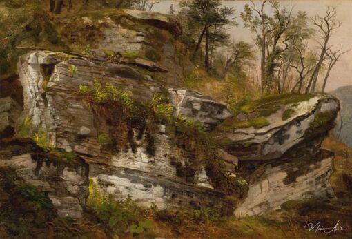 Rocky Cliff, 1860 – Asher Brown Durand Asher Brown Durand Master Apollon