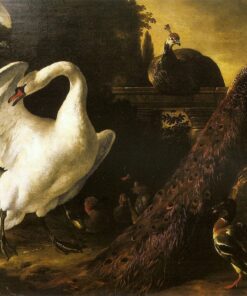Cisnes e pães – Melchior d’Hondecoeter Melchior d'Hondecoeter Master Apollon