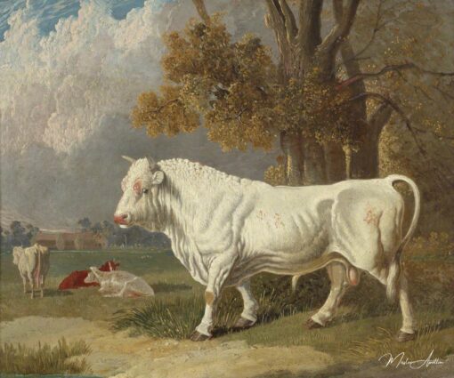 Touro Branco, Fulbourn, Cambridgeshire, 1830 – John Frederick Herring Snr John Frederick Herring Sr Master Apollon 2