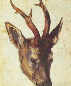 Cabeça de Veado – Albrecht Dürer Albrecht Dürer Master Apollon