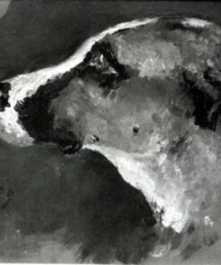 Cabeça de um cachorro com orelhas curtas – Toulouse Lautrec Henri de Toulouse-Lautrec Master Apollon