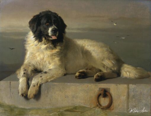 Um membro distinto da Humane Society – Edwin Landseer Edwin Landseer Master Apollon