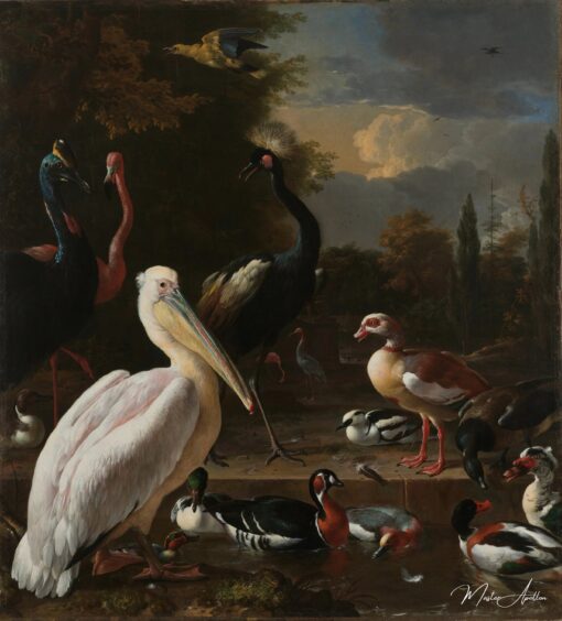 Um pelicano e outros pássaros em um lago, 1680 – Melchior d’Hondecoeter Melchior d'Hondecoeter Master Apollon