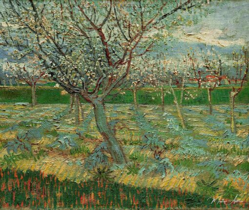 Verger em flores – Van Gogh Vincent Van Gogh Master Apollon