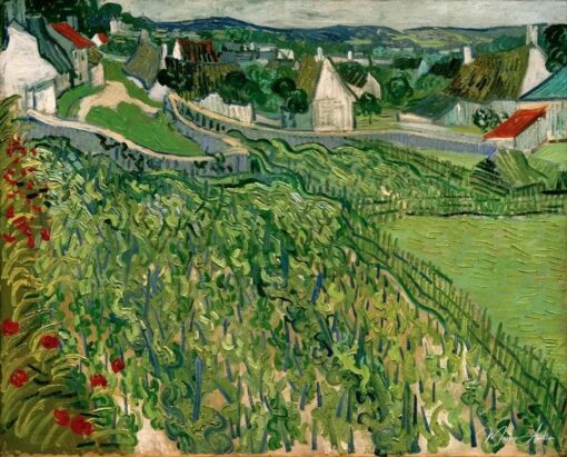 Vinhas de Auvers – Van Gogh Vincent Van Gogh Master Apollon 2