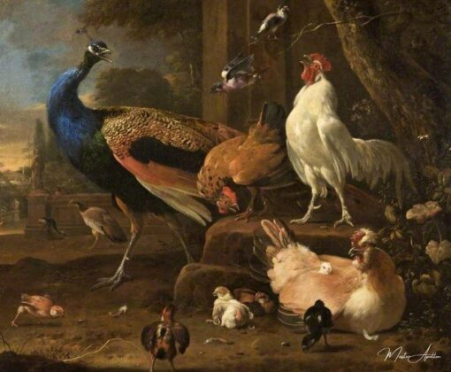 Volaille – Melchior d’Hondecoeter Melchior d'Hondecoeter Master Apollon